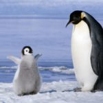 海外FX業者は無登録業者とは?